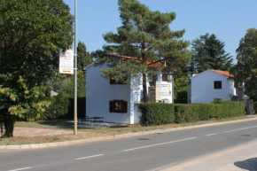 Apartments by the sea Dajla, Novigrad - 3376